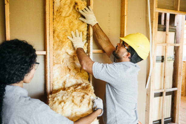 Best Blown-in Insulation  in Shokan, NY