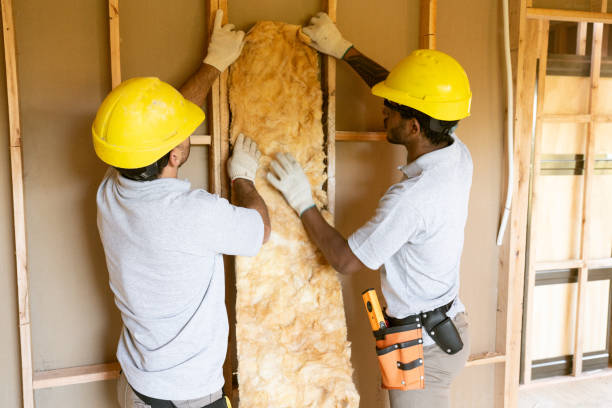 Best Spray Foam Insulation  in Shokan, NY